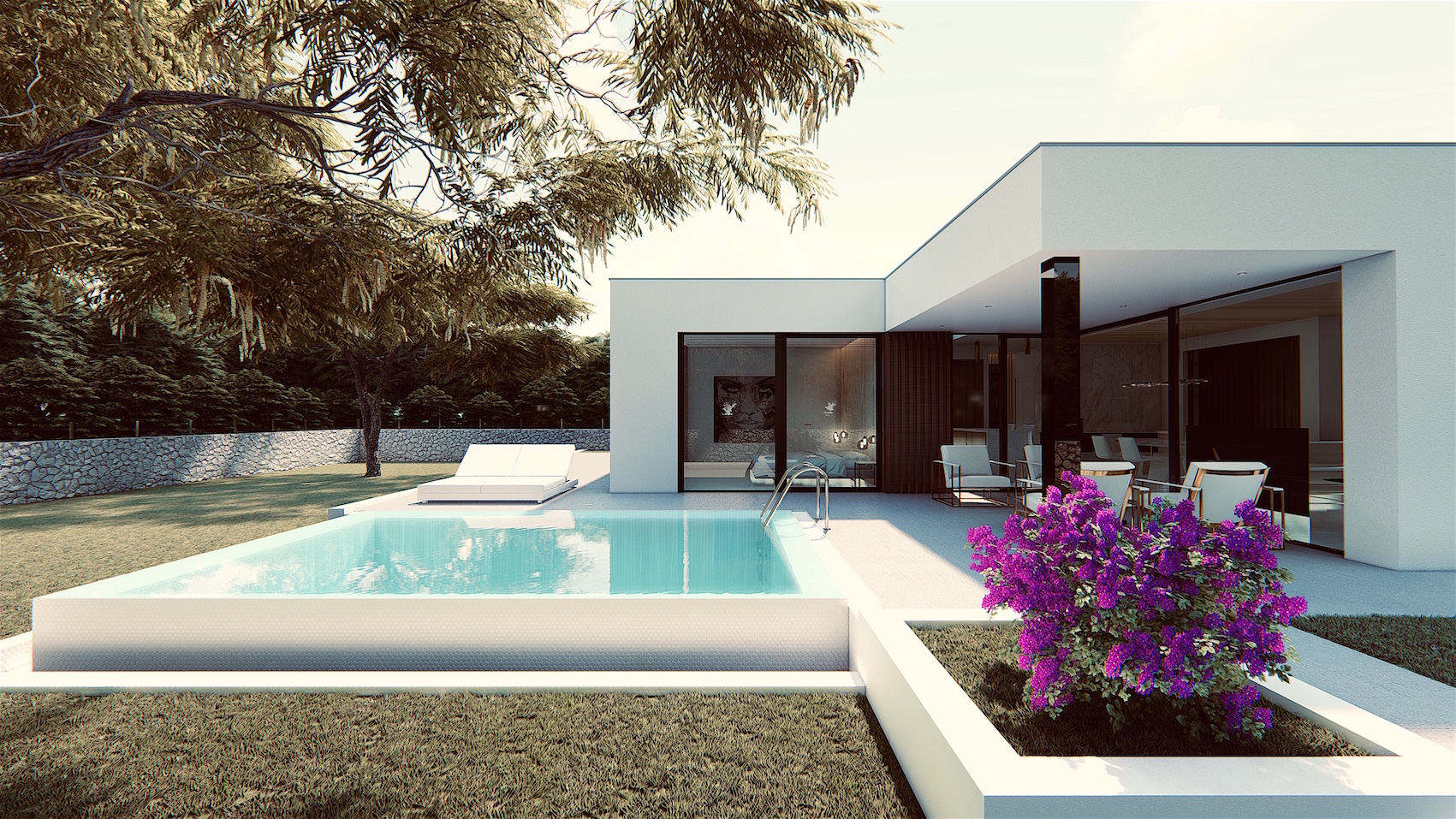 modern family house project swimming pool